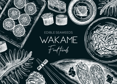 Edible seaweed background on chalkboard. Hand drawn wakame sketches. Sea vegetables vector illustrations. Japanese cuisine dishes menu. Healthy food ingredients banner in engraved style